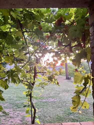 The Reading Cat retreat The Reading Cat retreat