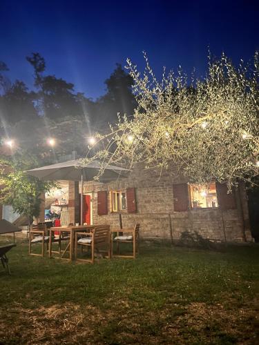 The Reading Cat retreat The Reading Cat retreat