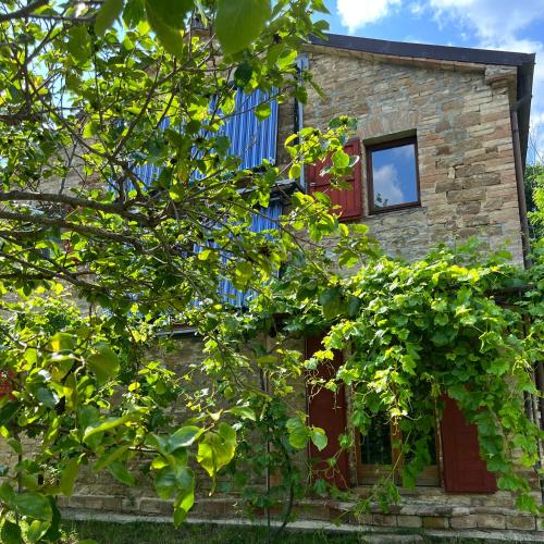 The Reading Cat retreat The Reading Cat retreat