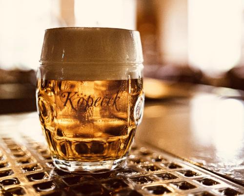 科佩切克扎梅茨基酒店 科佩切克扎梅茨基酒店