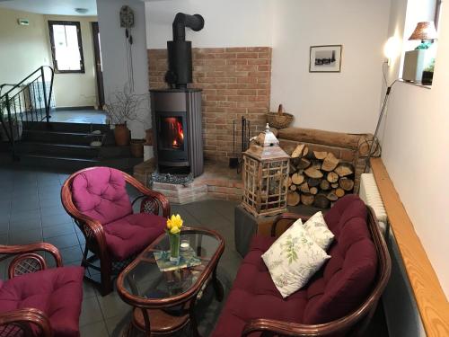 Mâncare şi băutură, Pension Aura Spicak, nektere pokoje se saunou in Zelezna Ruda