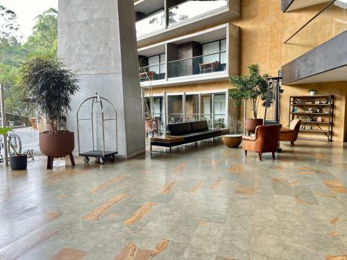 Habitación Estándar - Hotel Rioverde Habitación Estándar - Hotel Rioverde