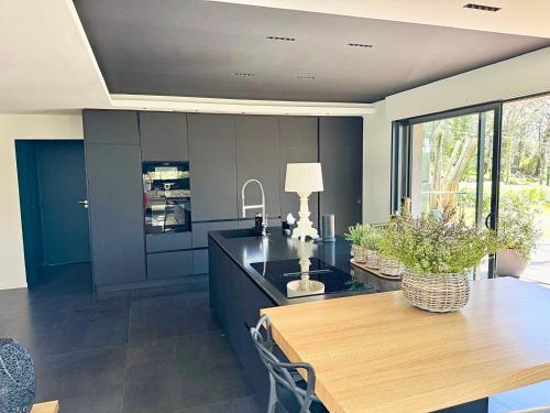 Villa with pool, petanque, large green space, Roquefort-les-Pins (photo 6)