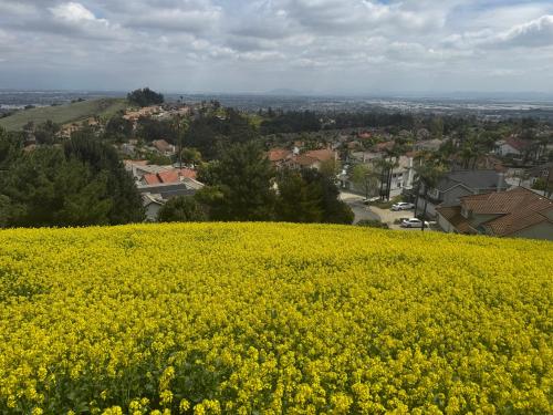 B&B 1号山景家庭套房Family Suite room in Chino Hills, USA