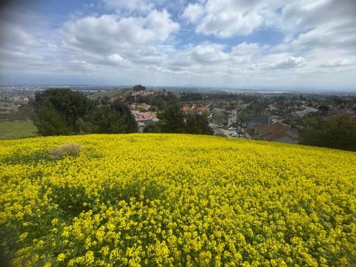 BNB豪华双人大房king bed big Room in Chino Hills, USA