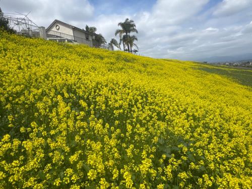 Double Room in 奇諾崗