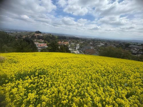 2#family suite king bed room in 奇諾崗
