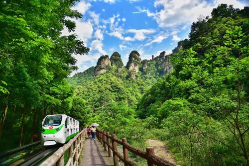 Zhangjiajie CLOUD Zhenxi Hotel- Near Forest Park EastGate about 10 Min Walk - English Butler Free Luggage Storage Tour Plan -reserve tickets for various scenic spots-Self-Service LaundryFree coffee Chinese tea - image 3