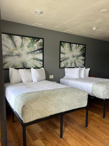 Valued Stay Mayflower in Madison, USA