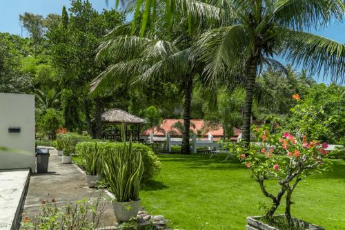 The Hawk's Nest Resort