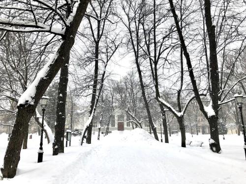 Scandinavian Home 1BR premium location in the historical heart of Helsinki 12, Хельсинки (фото 9)