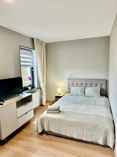 Apartamenty Poziom 4, Prywatna lazienka, Wspolna toaleta, Free wi-fi, Free Parking - Katowice