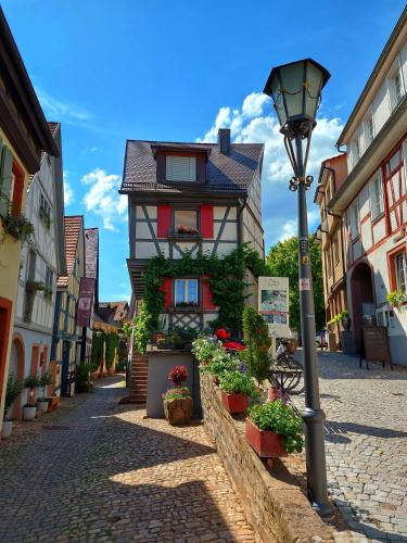 Nearby attraction, Grune Auszeit - zwischen Schwarzwald & Offenburg in Ortenberg