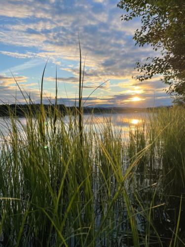House in Harads in Harads