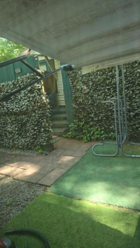 Garden, Grateful Hemphill B in Collier Heights