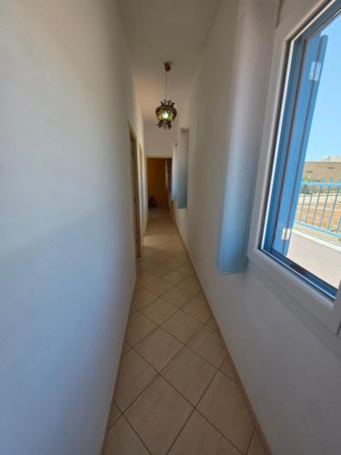 Dolphin Cabo Verde in Vila Da Ribeira Brava