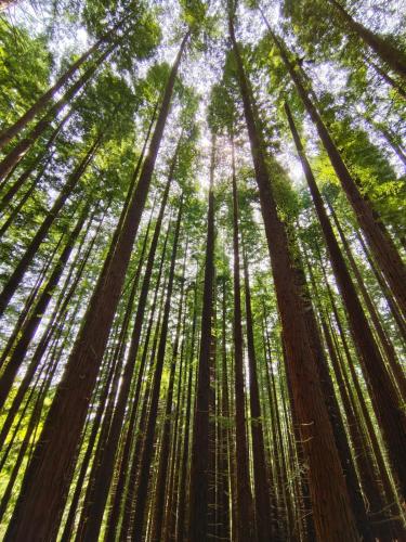 Casita con Encanto II, junto a Comillas in Udias