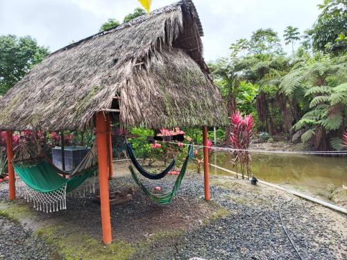 LA JUNGLA Casa Vacacional in Canelos