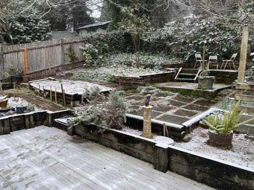 Mountain Views Cedar Cottage