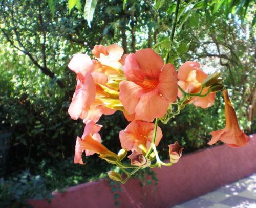 Staggia Studios - image 12