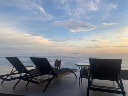 淡島（永福省） Chuon Chuon Villa Homestay Tam Đao 3星级 民宿 餐厅