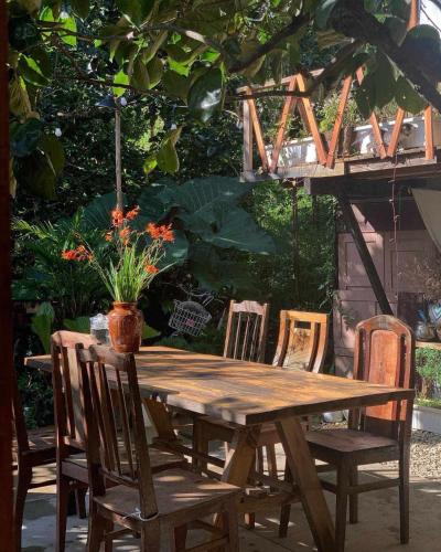 An homestay - forest healing
