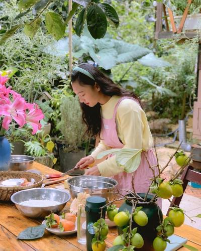 An homestay - forest healing