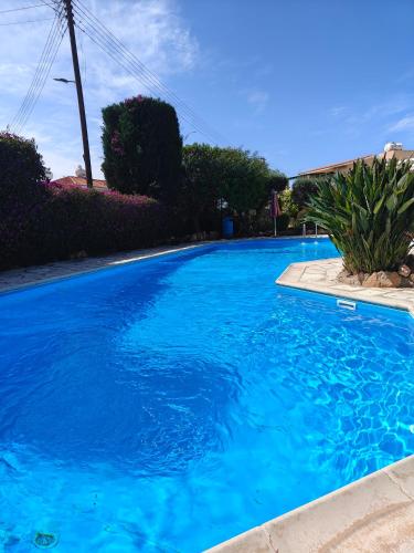 Eva Gardens corner house with stunning garden and huge swimming pool next to CORAL BAY, Peyia (photo 3)