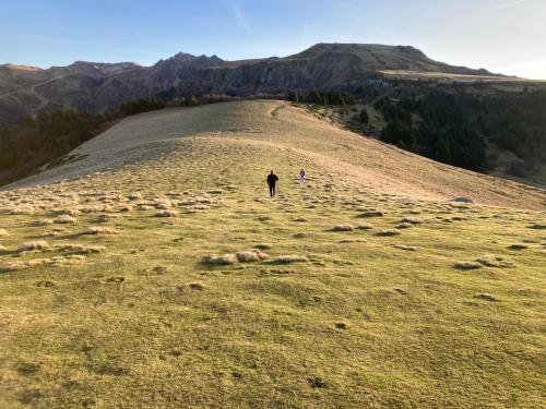 Hotel Le Progrés Dorlotel - main image