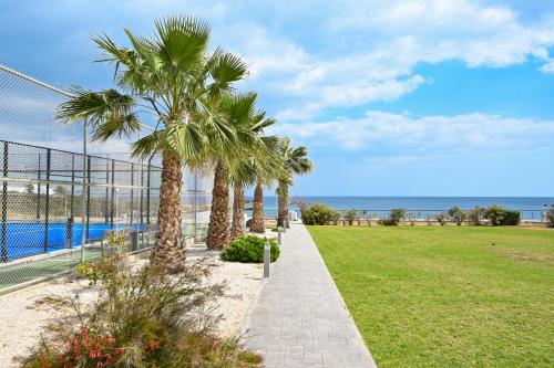 Crystal Coast 3