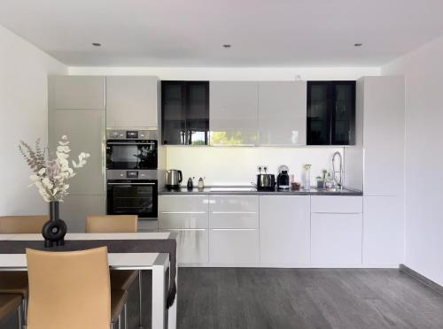 Kitchen, Waterfront Apartment am Main, 15 Min Frankfurt Airport, Terrasse, Free Parking in Florsheim am Main