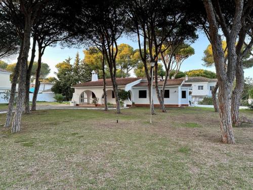 Pinos Verdes