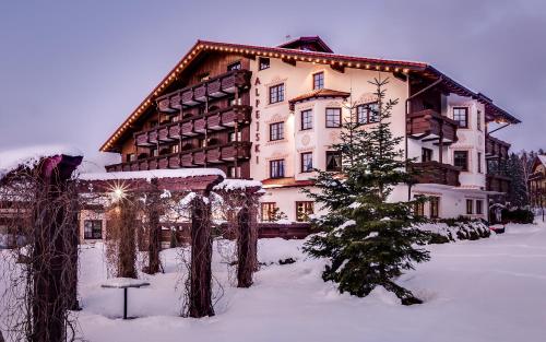 Alpejski Boutique Hotel - image 3