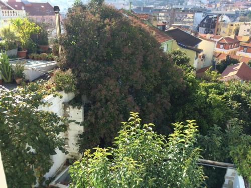Cozy Apartment - City Center, Sunny and Pratical, Lisboa