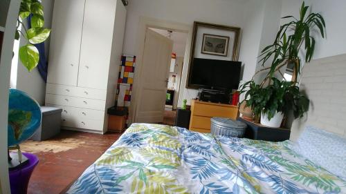 small but central, Cologne (photo 5)