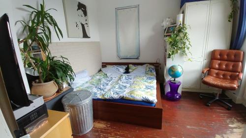 small but central, Cologne (photo 6)