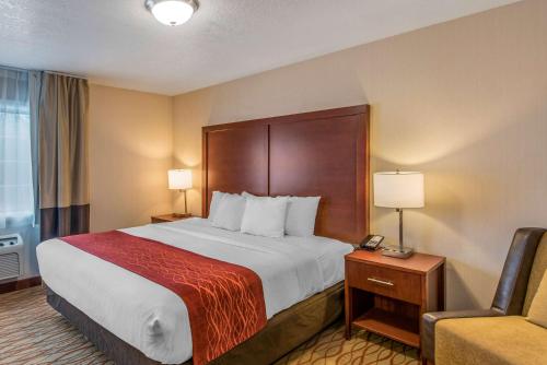 Comfort Inn Central Weed - image 8