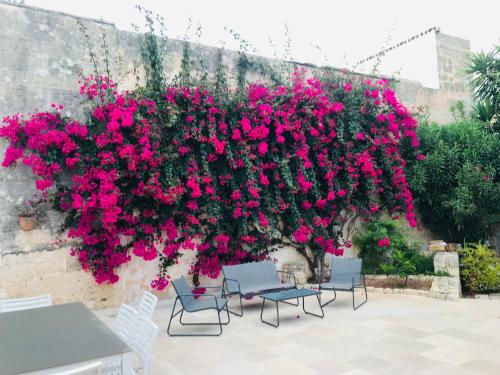 Salento - Casa Pietrastella, Presicce (photo 5)