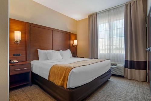 Comfort Suites in Alexandria, USA