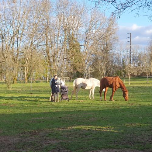 กิจกรรม, Lovely rural and quiet farmhouse with natural swimming lake in ฌาร์นัก