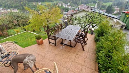 Iekārtas, Bergmannhaus in Zagorje ob Savi