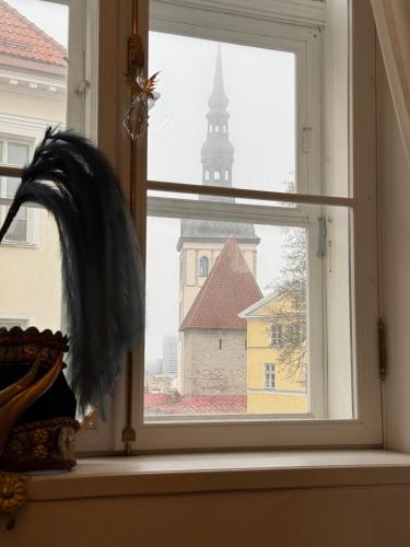 House-Museum #Medieval unique experience, Tallin (foto 7)