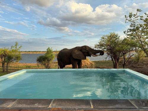 Bubezi Villas in Mafuta