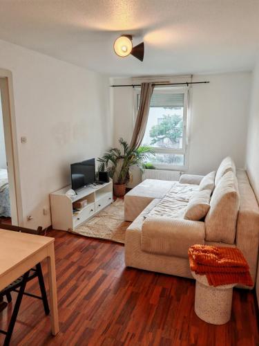 Charmant appartement au centre, Strasbourg