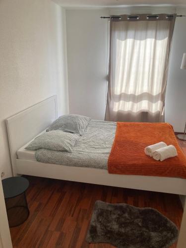 Charmant appartement au centre, Strasbourg (photo 3)