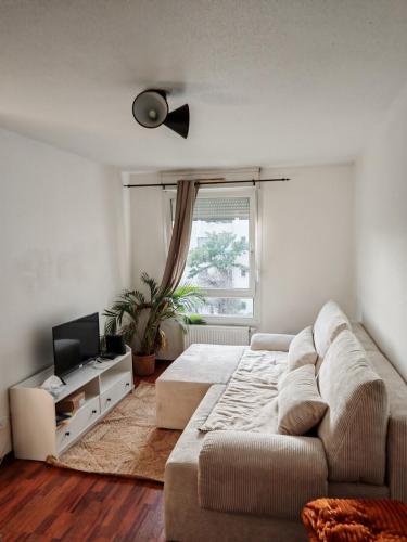Charmant appartement au centre, Strasbourg (photo 6)