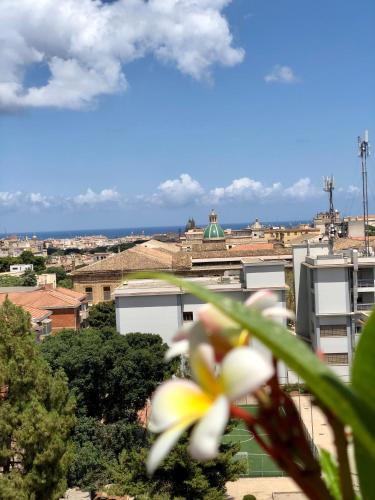B&B Bellavista, Palermo (fotografie 9)