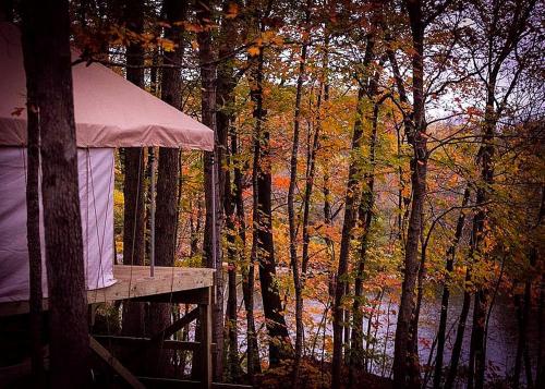 Secluded Luxury Camping Tent on Otter Lake near Girard, Illinois in Carlinville (IL)