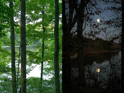 Secluded Luxury Camping Tent on Otter Lake near Girard, Illinois in Carlinville (IL)