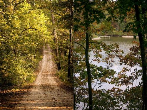 Secluded Luxury Camping Tent on Otter Lake near Girard, Illinois in Carlinville (IL)
